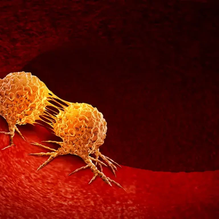 Cancer cell dividing and treatment for malignant cancer cells in a human body caused by carcinogens and genetics with a cancerous cell as an immunotherapy symbol and medical therapy as a 3D illustration.