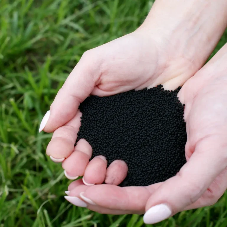 DSC03055.edit (5) (1) (1)