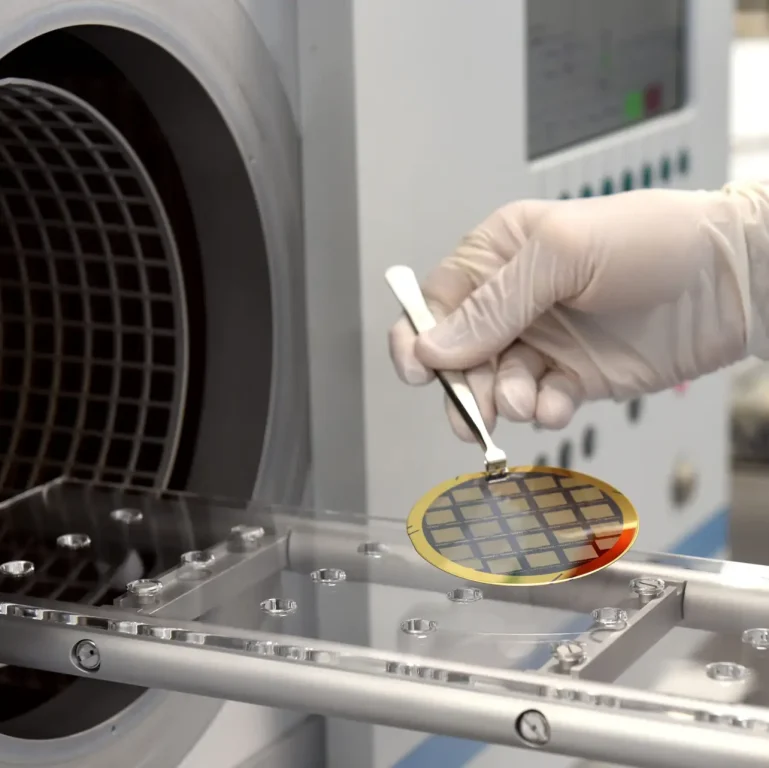 Rajfoto (95) (3) (1)