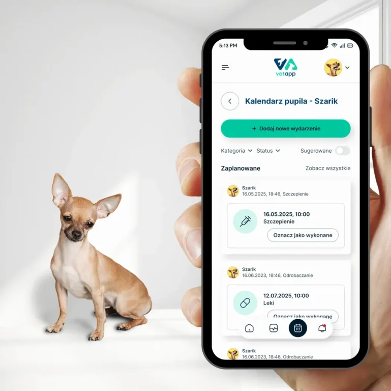 pliki VetApp (1)