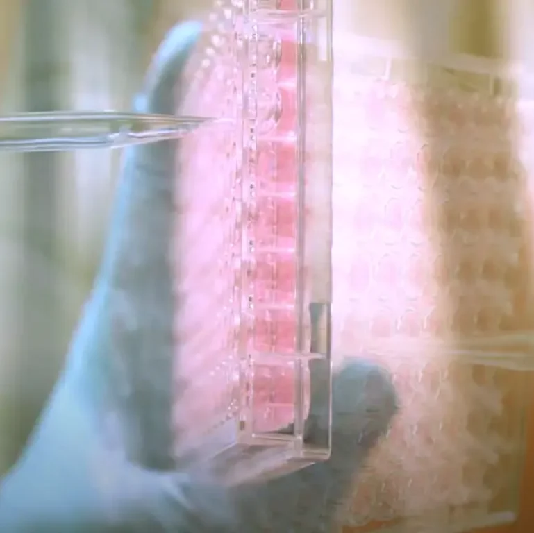 Real Research - LifeGel